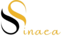 sinaea-watchbox.com